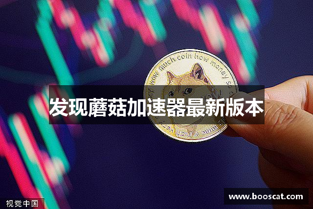 发现蘑菇加速器最新版本